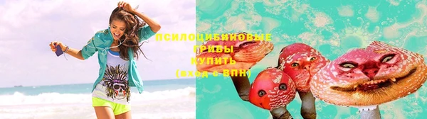 бошки Дмитриев