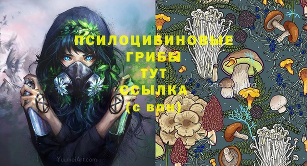 амф Дмитров