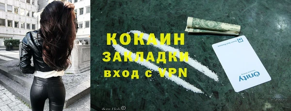 бошки Дмитриев
