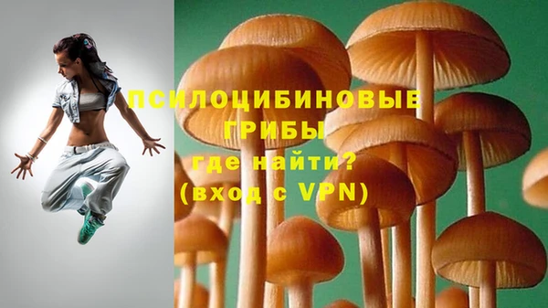соль курить ск Гусь-Хрустальный