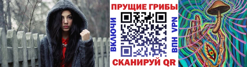 Галлюциногенные грибы Cubensis  Купить где  Перевоз 